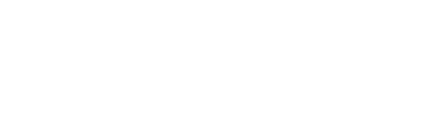 Synergy Group Logo